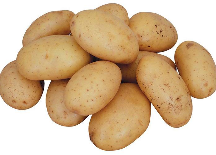 供港蔬菜的“圳”能量 深圳市小脚丫农贸科技的品质之路